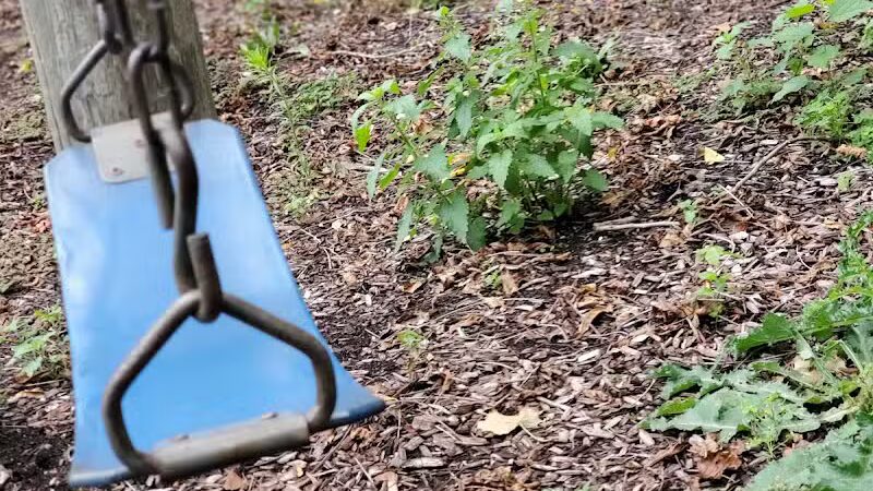 Groner Memorial Park - Parma,