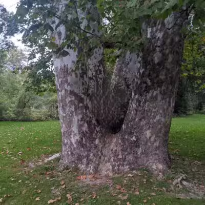 Minard Mills Jackson County Park - Parma,