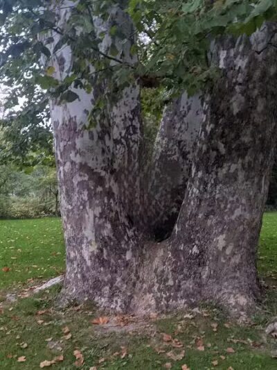 Minard Mills Jackson County Park - Parma,