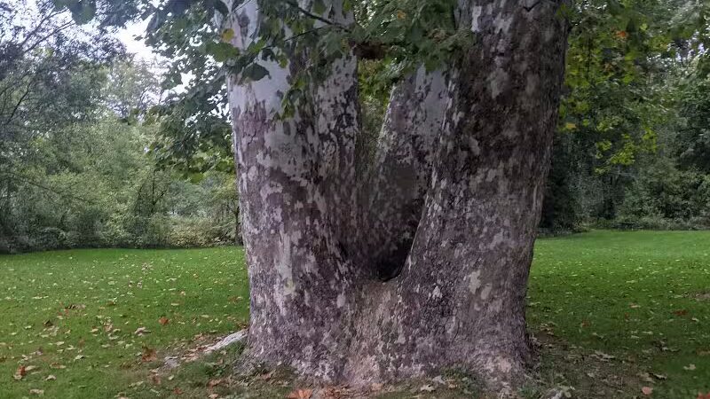 Minard Mills Jackson County Park - Parma,