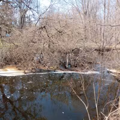 Minard Mills Jackson County Park - Parma,