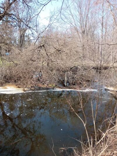 Minard Mills Jackson County Park - Parma,