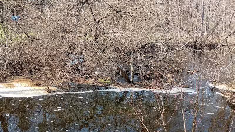 Minard Mills Jackson County Park - Parma,