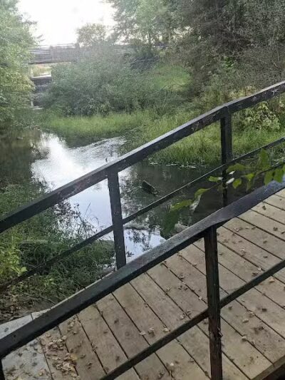 Minard Mills Jackson County Park - Parma,