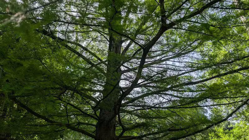 Minard Mills Jackson County Park - Parma,