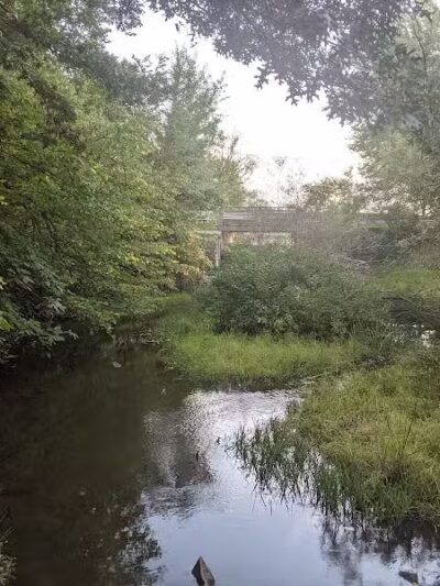 Minard Mills Jackson County Park - Parma,