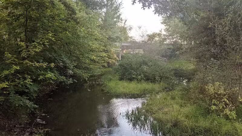 Minard Mills Jackson County Park - Parma,