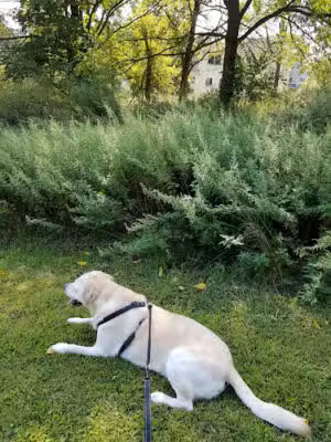Troy Meadows Nature Preserve - Parsippany-Troy Hills, NJ