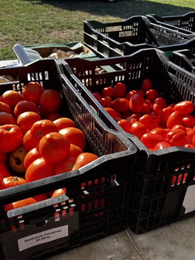 Veterans Memorial Park - Parsippany, NJ