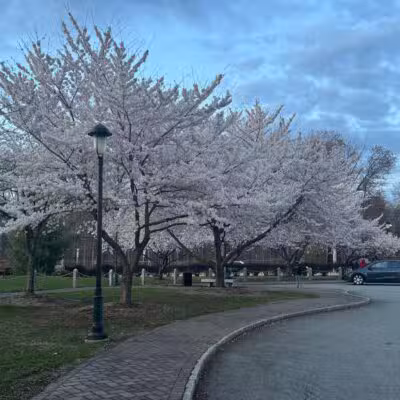 Veterans Memorial Park - Parsippany, NJ