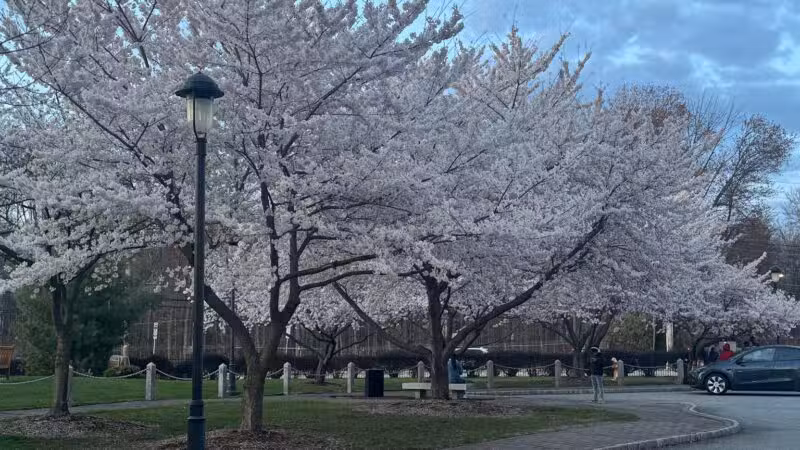 Veterans Memorial Park - Parsippany, NJ