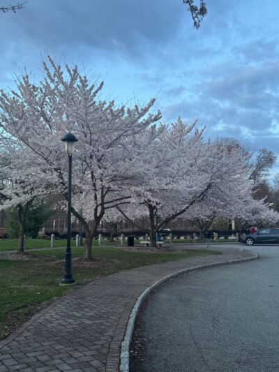 Veterans Memorial Park - Parsippany, NJ