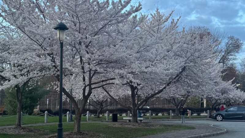 Veterans Memorial Park - Parsippany, NJ