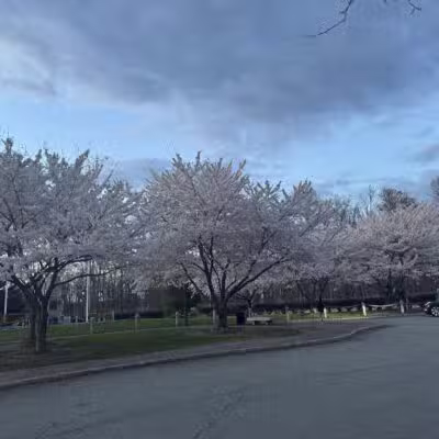 Veterans Memorial Park - Parsippany, NJ