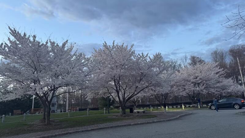 Veterans Memorial Park - Parsippany, NJ
