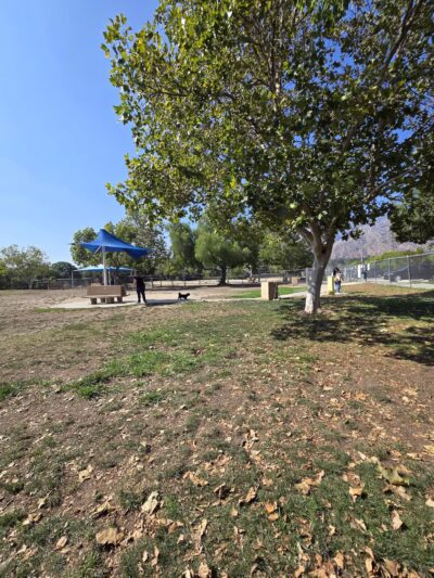 Alice's Dog Park - Pasadena, CA