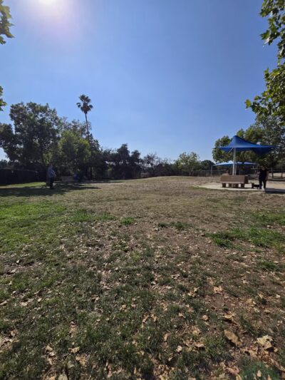 Alice's Dog Park - Pasadena, CA