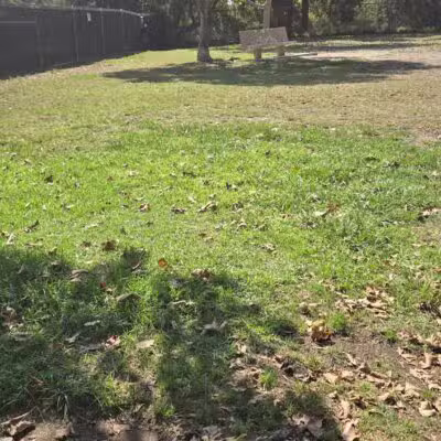 Alice's Dog Park - Pasadena, CA