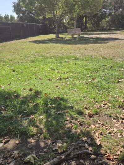 Alice's Dog Park - Pasadena, CA