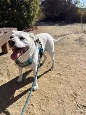 Annandale Canyon Park - Pasadena, CA