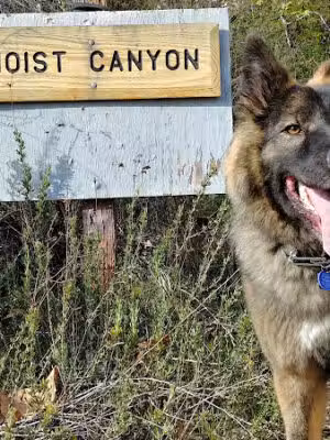 Eaton Canyon Trail Head - Pasadena, CA