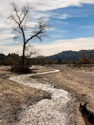 Hahamongna Watershed Park - Pasadena, CA