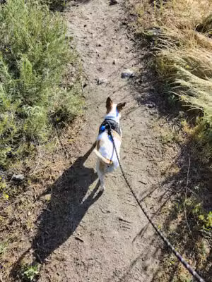 Henninger Trailhead - Pasadena, CA