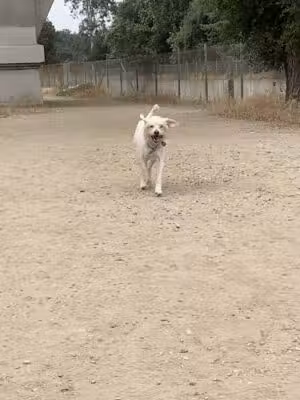 Lower Arroyo Park - Pasadena, CA