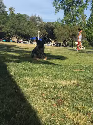 McDonald Park - Pasadena, CA