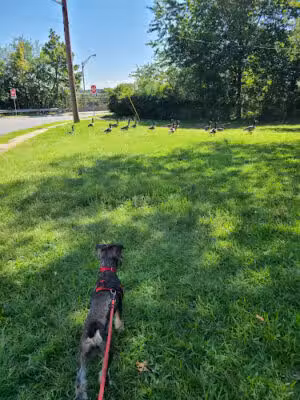 Armory Park - Passaic, NJ