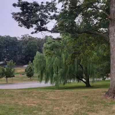 Third Ward Park - Passaic, NJ