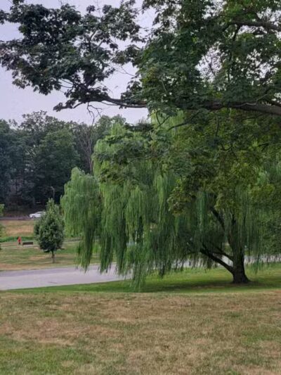 Third Ward Park - Passaic, NJ