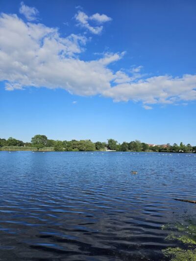 Father Tortora Park - Patchogue, NY