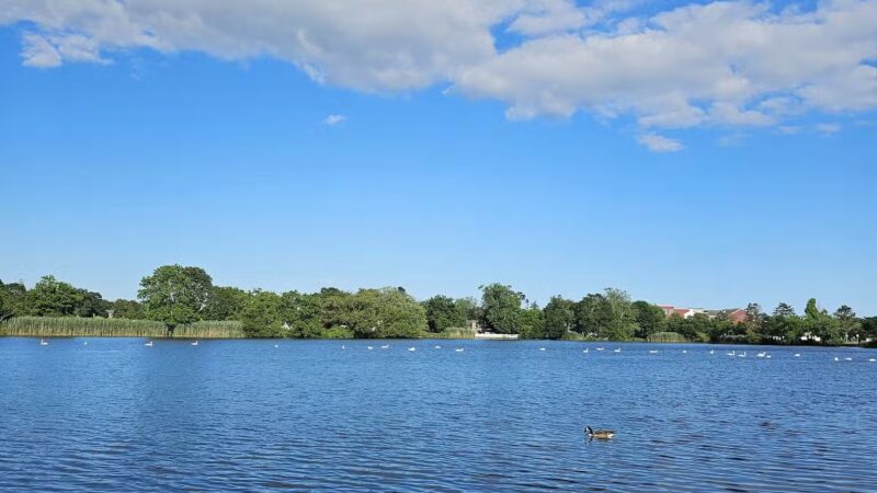 Father Tortora Park - Patchogue, NY