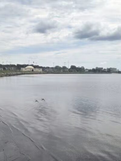 Shorefront Park - Patchogue, NY