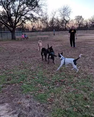 PAWS VALLEY DOG PARK - Pauls Valley, OK