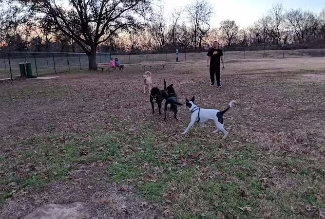 PAWS VALLEY DOG PARK - Pauls Valley, OK