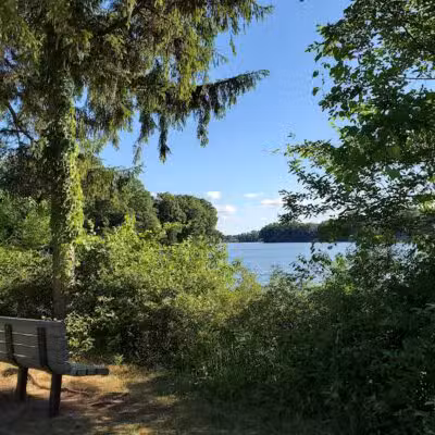 Maple Island - Paw Paw,