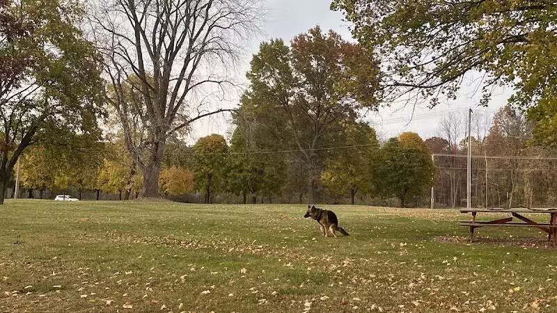 Maple Island - Paw Paw,