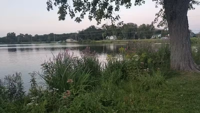 Maple Island - Paw Paw,