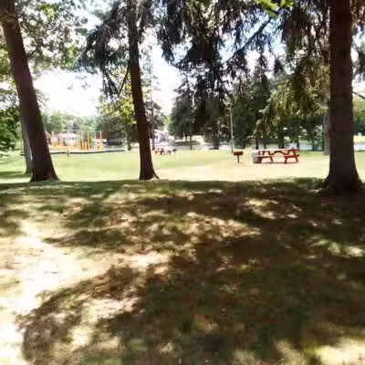 Maple Island - Paw Paw,