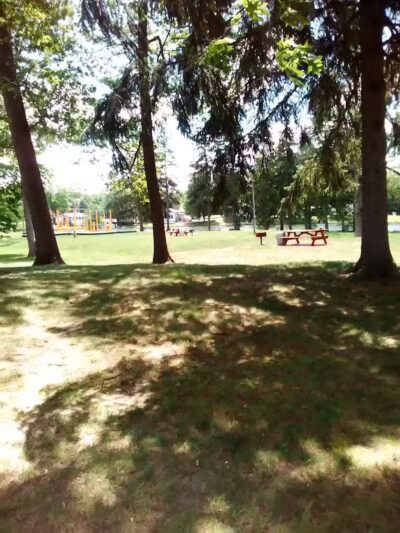 Maple Island - Paw Paw,