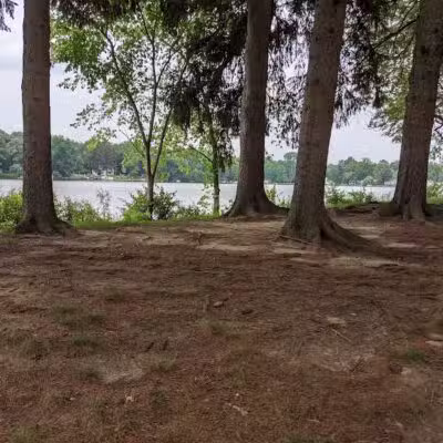 Maple Island - Paw Paw,