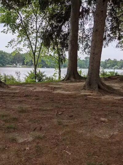 Maple Island - Paw Paw,