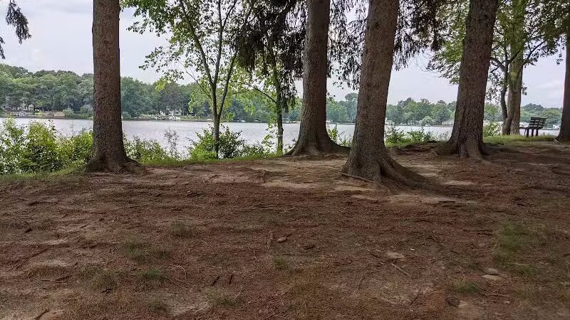 Maple Island - Paw Paw,