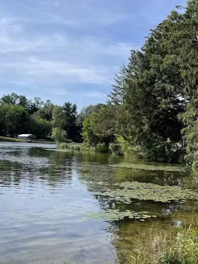 Maple Island - Paw Paw,