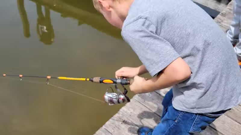 Sunset Park - Paw Paw,