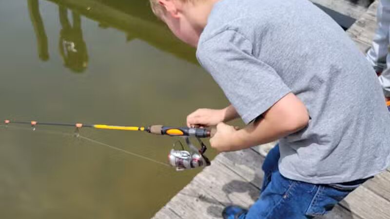 Sunset Park - Paw Paw,