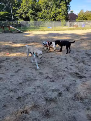 Pawtucket Dog Park (at Slater Park) - Pawtucket, RI