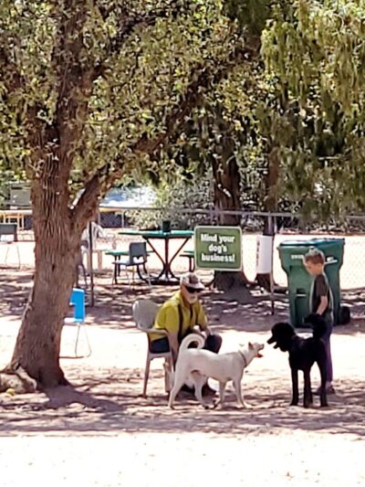Rumsey Park Dog Park - Payson, AZ